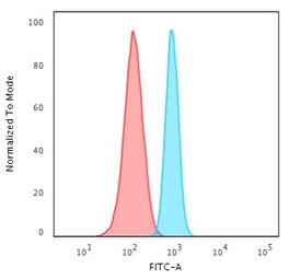 Anti-SPTBN2 antibody [SPTBN2/2894R] used in Flow cytometry (FCM). GTX02716