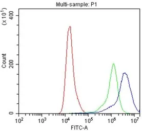 Anti-Interferon gamma Receptor 1 antibody used in Flow cytometry (FCM). GTX02780