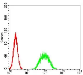 Anti-ATF3 antibody [7F1B10] used in Flow cytometry (FCM). GTX02812