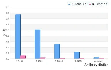 Anti-NAK / TBK1 (phospho Ser172) antibody used in ELISA (ELISA). GTX02815