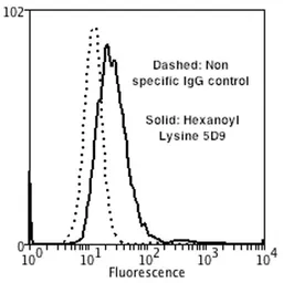 Anti-Hexanoyl-Lysine adduct antibody [5D9] used in Flow cytometry (FCM). GTX02872