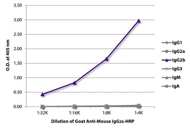 Goat Anti-Mouse IgG2b antibody, pre-adsorbed (HRP). GTX02888-01