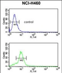 Anti-MUTYH antibody used in Flow cytometry (FCM). GTX03360