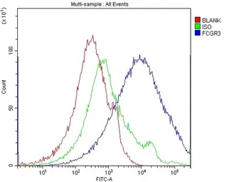 Anti-CD16a antibody used in Flow cytometry (FCM). GTX03379