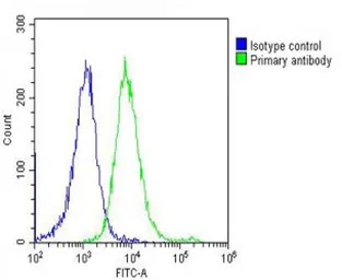 Anti-PRAME antibody used in Flow cytometry (FCM). GTX03381