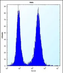 Anti-PHF5A antibody used in Flow cytometry (FCM). GTX03384
