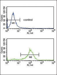 Anti-SFRP1 antibody used in Flow cytometry (FCM). GTX03397