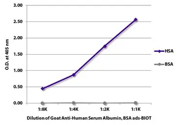 Anti-Albumin antibody used in ELISA (ELISA). GTX03403