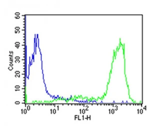 Anti-CD44 antibody [Hermes-3] used in Flow cytometry (FCM). GTX03492