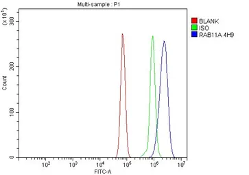 Anti-Rab11A antibody [4H9] used in Flow cytometry (FCM). GTX03669