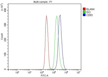 Anti-CD93 antibody used in Flow cytometry (FCM). GTX03672