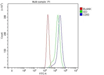 Anti-CD93 antibody used in Flow cytometry (FCM). GTX03672
