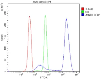 Anti-Lamin B1 antibody used in Flow cytometry (FCM). GTX03695