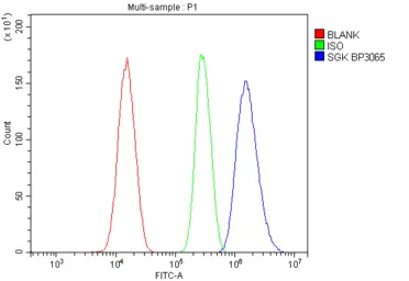 Anti-SGK1 antibody used in Flow cytometry (FCM). GTX03696