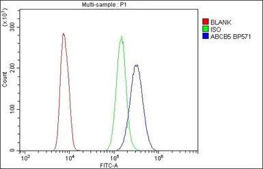 Anti-ABCB5 antibody used in Flow cytometry (FCM). GTX03718