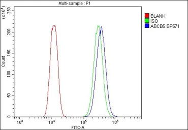Anti-ABCB5 antibody used in Flow cytometry (FCM). GTX03718