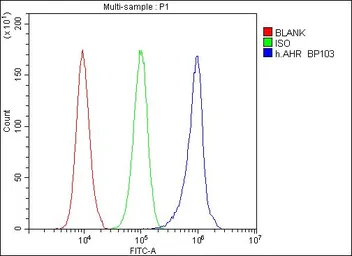 Anti-AHR antibody used in Flow cytometry (FCM). GTX03719