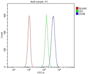 Anti-SOX6 antibody used in Flow cytometry (FCM). GTX04085
