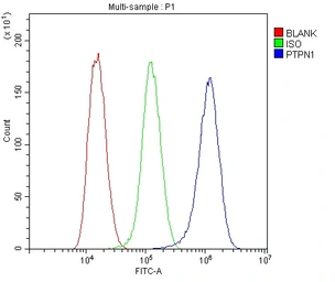 Anti-PTP1B antibody used in Flow cytometry (FCM). GTX04098