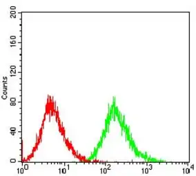 Anti-PTP1B antibody [4F8F11] used in Flow cytometry (FCM). GTX04099