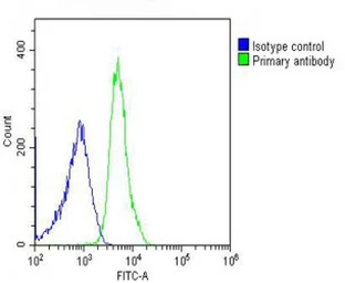 Anti-CDC73 antibody used in Flow cytometry (FCM). GTX04105