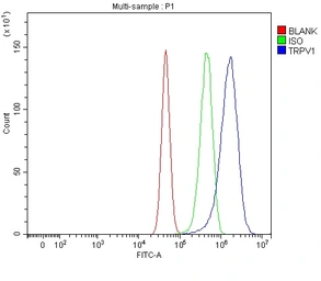 Anti-VR1/ TRPV1 antibody used in Flow cytometry (FCM). GTX04108