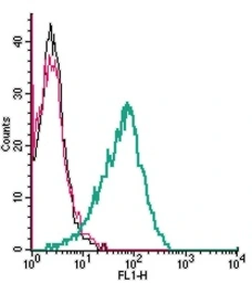 Anti-ADCY3 antibody used in Flow cytometry (FCM). GTX04114