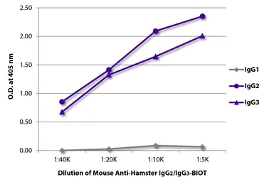 Mouse Anti-Armenian Hamster IgG2+IgG3 antibody [SB139e] (Biotin). GTX04118-02
