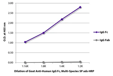 Goat Anti-Human IgG (Fc) antibody, pre-adsorbed (HRP). GTX04119-01