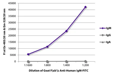 Goat Anti-Human IgM (Mu chain) antibody, F(ab')2 fragment, pre-adsorbed (FITC). GTX04121-06