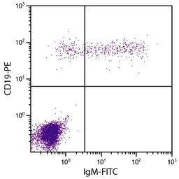 Goat Anti-Human IgM (Mu chain) antibody, F(ab')2 fragment, pre-adsorbed (FITC). GTX04121-06