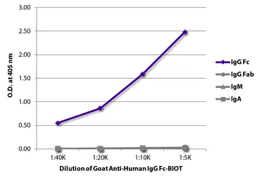 Goat Anti-Human IgG (Fc) antibody, pre-adsorbed (Biotin). GTX04125-02