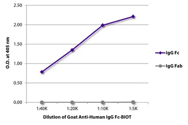Goat Anti-Human IgG (Fc) antibody, pre-adsorbed (Biotin). GTX04125-02