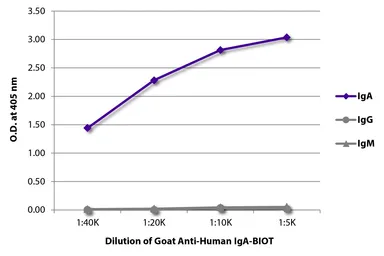 Goat Anti-Human IgA (Heavy chain) antibody, pre-adsorbed (Biotin). GTX04126-02