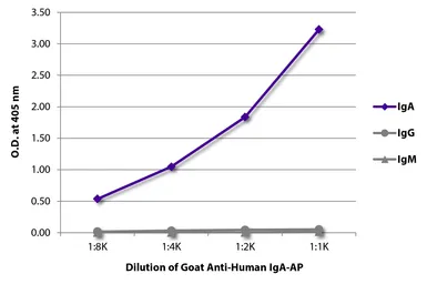 Goat Anti-Human IgA (Heavy chain) antibody, pre-adsorbed (AP). GTX04126-03