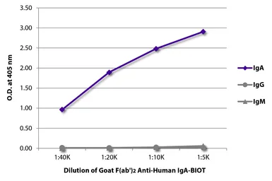 Goat Anti-Human IgA (Heavy chain) antibody, F(ab')2 fragment, pre-adsorbed (Biotin). GTX04127-02