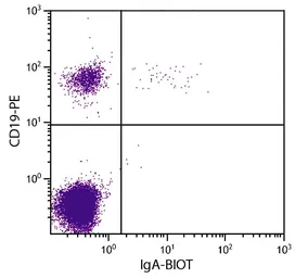 Goat Anti-Human IgA (Heavy chain) antibody, F(ab')2 fragment, pre-adsorbed (Biotin). GTX04127-02