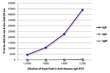 Goat Anti-Human IgA (Heavy chain) antibody, F(ab')2 fragment, pre-adsorbed (FITC). GTX04127-06