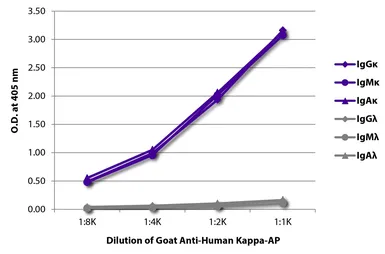 Goat Anti-Human kappa light chain antibody, pre-adsorbed (AP). GTX04129-03