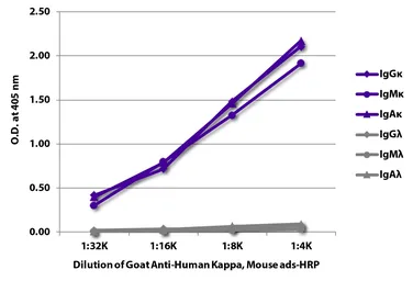 Goat Anti-Human kappa light chain antibody, pre-adsorbed (HRP). GTX04130-01