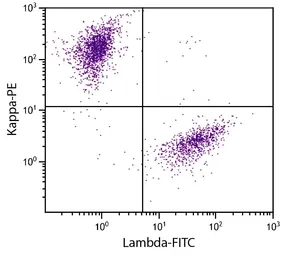 Goat Anti-Human kappa light chain antibody, pre-adsorbed (PE). GTX04130-08