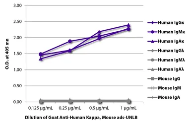 Goat Anti-Human kappa light chain antibody, pre-adsorbed. GTX04130