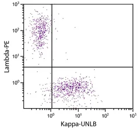 Goat Anti-Human kappa light chain antibody, pre-adsorbed. GTX04130