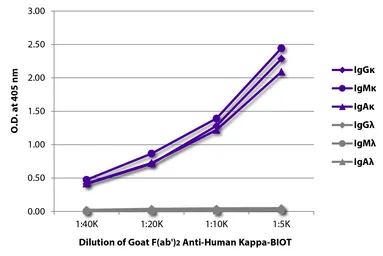 Goat Anti-Human kappa light chain antibody, F(ab')2 fragment, pre-adsorbed (Biotin). GTX04131-02