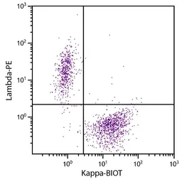Goat Anti-Human kappa light chain antibody, F(ab')2 fragment, pre-adsorbed (Biotin). GTX04131-02