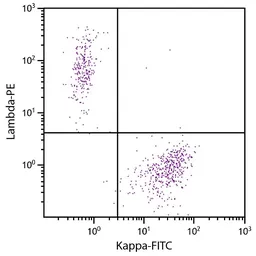 Goat Anti-Human kappa light chain antibody, F(ab')2 fragment, pre-adsorbed (FITC). GTX04131-06