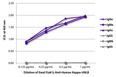 Goat Anti-Human kappa light chain antibody, F(ab')2 fragment, pre-adsorbed. GTX04131