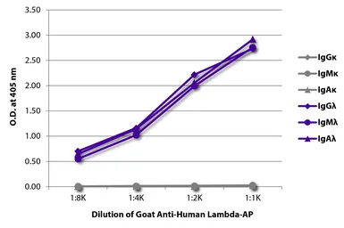 Goat Anti-Human lambda light chain antibody, pre-adsorbed (AP). GTX04133-03