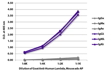 Goat Anti-Human lambda light chain antibody, pre-adsorbed (AP). GTX04134-03