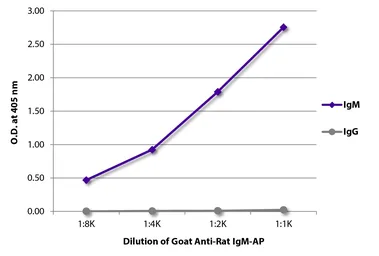 Goat Anti-Rat IgM (Mu chain) antibody, pre-adsorbed (AP). GTX04137-03